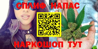 СК Заводоуковск