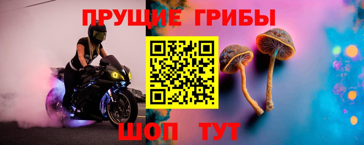 что такое   Галлюциногенные грибы Psilocybe  Вход с VPN  Самара 